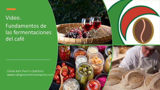 Café Ensoñación / Café tostado gourmet, calidad de especialidad, café de origen Manizales, Paisaje cafetero de Colombia