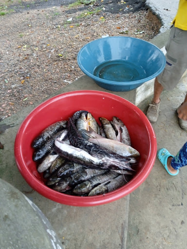 Centro Rinconada bolivar