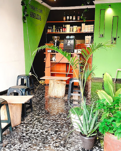 Club Cannábico Café Arboleda