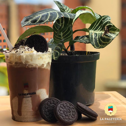 La Paletería Gourmet