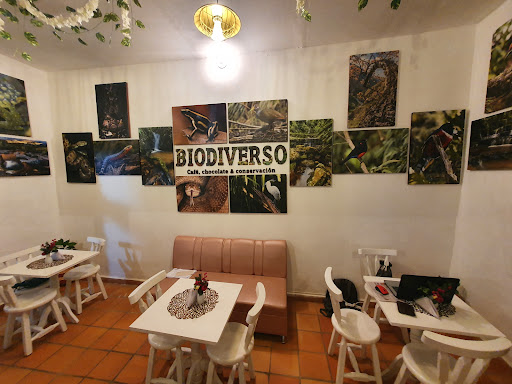 Biodiverso | Café, chocolate & conservación