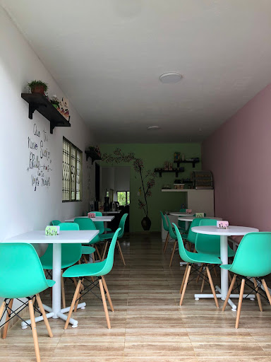 LE PETIT SALON DE ONCES